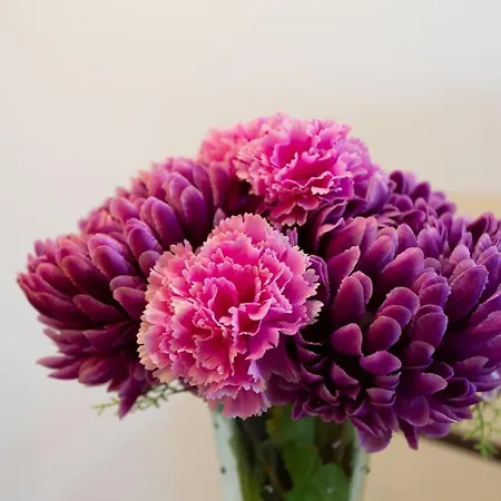 Ciudad Jardin Palmas Gc 펜션