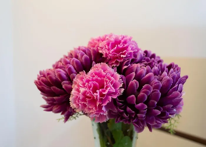 Ciudad Jardin Palmas Gc 펜션